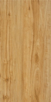 Camphor Wood Inkjet Wooden Designs CZ120131