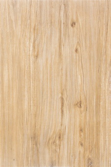 Beige Brazil Oak Inkjet Wooden Designs CZ9962