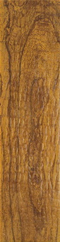 喷墨木纹系列釉面砖 鳄榆木 FP6023