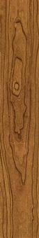 Gold Elm Inkjet Wooden Designs  FP9026