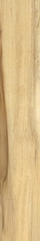 喷墨木纹系列釉面砖 橄榄木 FP9033
