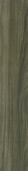 喷墨木纹系列釉面砖 山多思木 绿檀色 LS9004