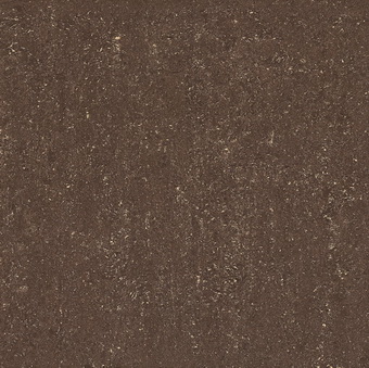 Brown Polished Porcelain Tiles Double Loading Matt &Glossy PG6158P.jpg