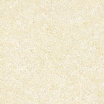 Beige Polished Porcelain Tiles Tulip PG6201