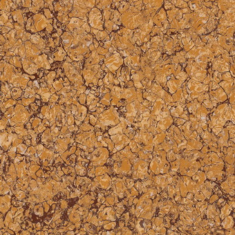 Golden Polished Porcelain Tiles Pulati PLT6018