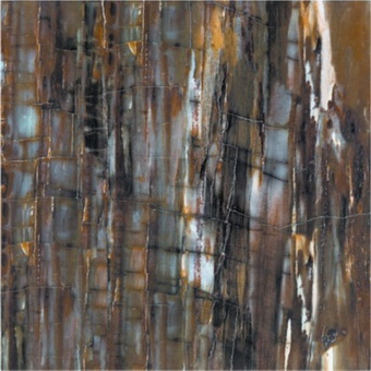 Brown Polished Glazed Tiles Forest Sereis QP6508