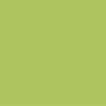 Green Polished Glazed Tiles Mono Color QP6704
