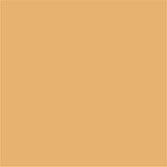 Orange Polished Glazed Tiles Mono Color QP6705